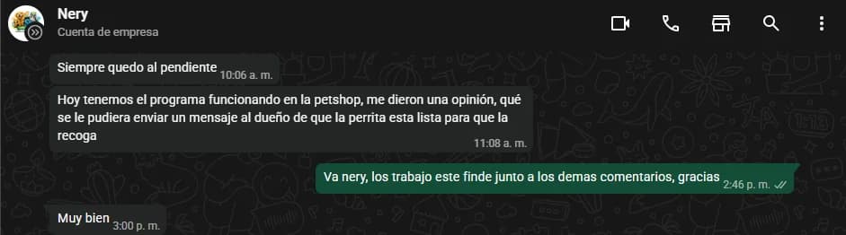 Conversación de WhatsApp con Nery: «Hoy tenemos el programa funcionando en la petshop. Me dieron una opinión: que se le pudiera enviar un mensaje al dueño de que la perrita está lista.»